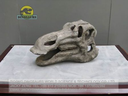 hadrosaur skull